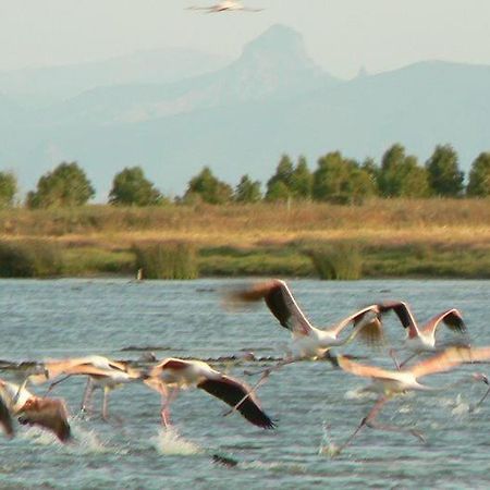 Agriturismo Bachile Bertula Villa Риола Сардо Екстериор снимка