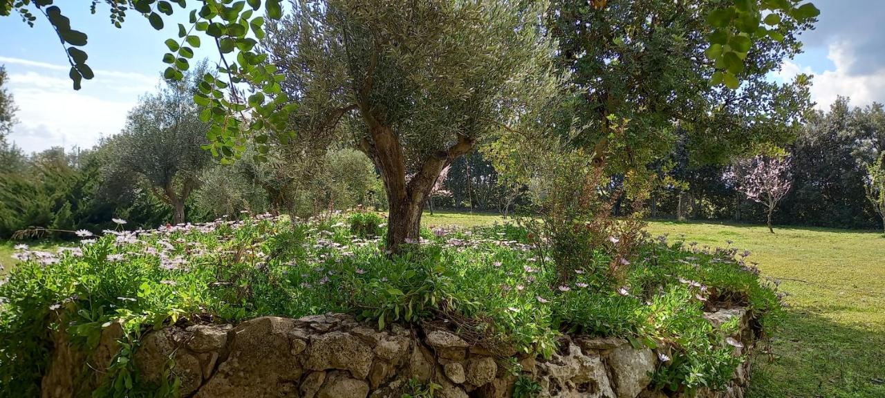 Agriturismo Bachile Bertula Villa Риола Сардо Екстериор снимка