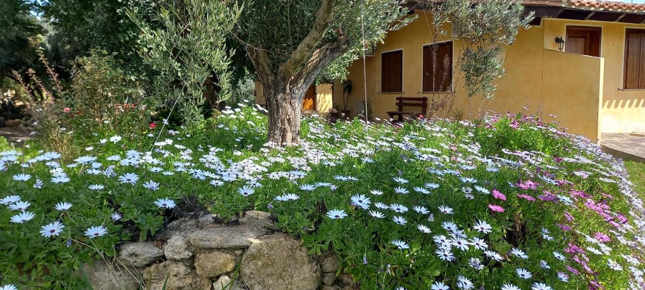 Agriturismo Bachile Bertula Villa Риола Сардо Екстериор снимка