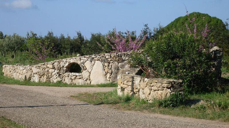 Agriturismo Bachile Bertula Villa Риола Сардо Екстериор снимка